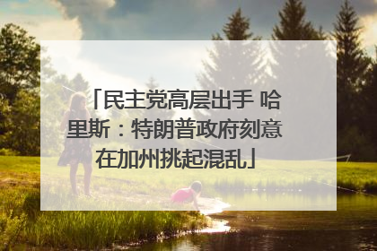 民主党高层出手 哈里斯：特朗普政府刻意在加州挑起混乱